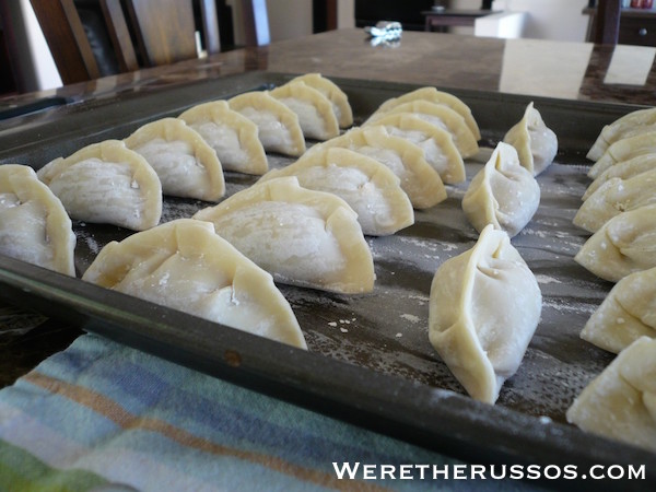 pork and celery dumplings