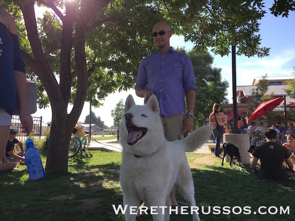 Odell Brewing Fort Collins lawn husky