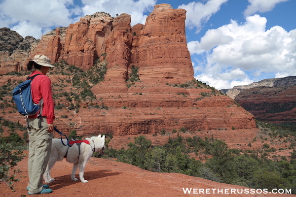 Ruffwear Web Mast Review - View