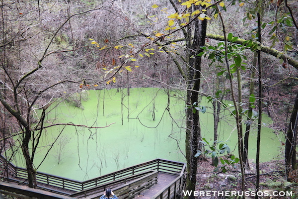 Devil's Millhopper State Park gainesville, florida