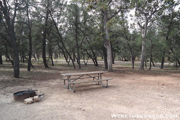 Mather Campground Picnic Table Fire Ring