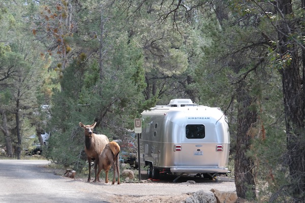 Grand Canyon RV Rental