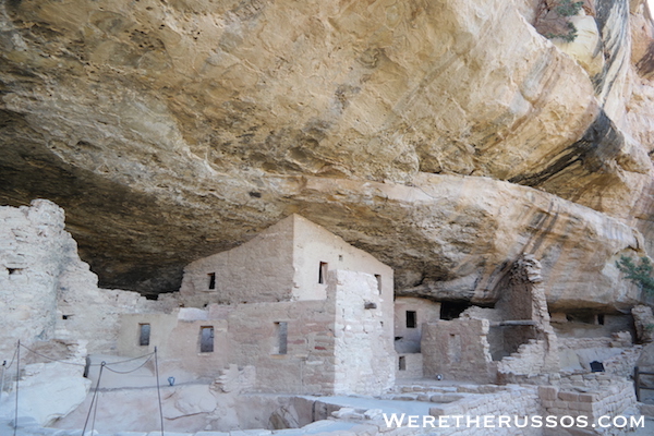 Mesa Verde National Park Spruce Tree House 4