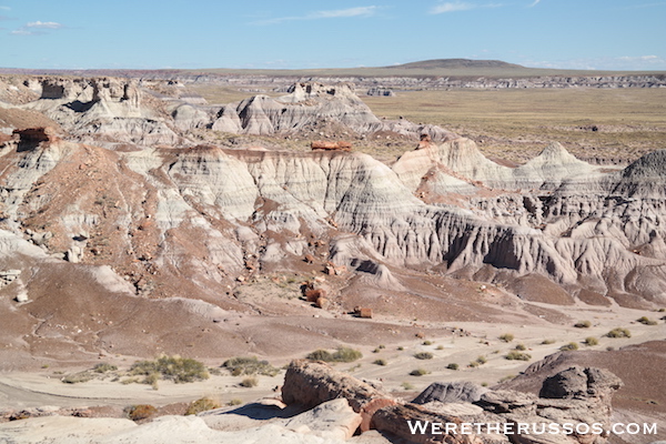 Petrified Forest National Park logs