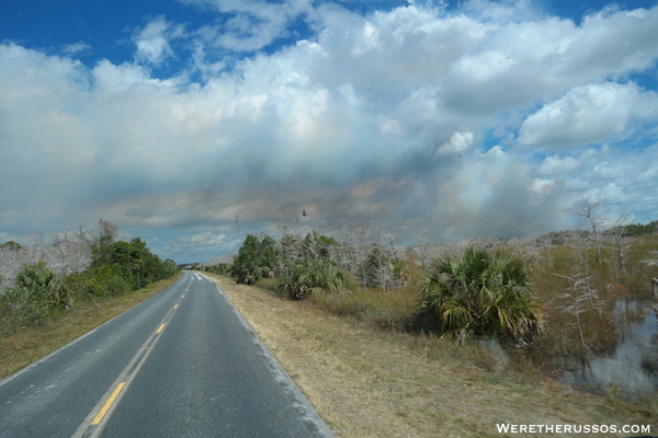 Everglades National Park drive