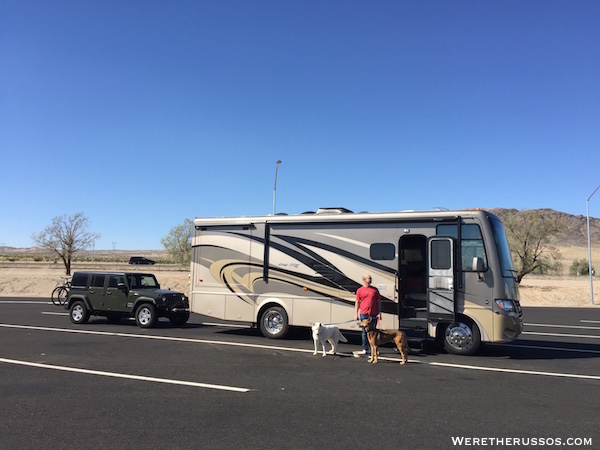 Jeep RV Dogs and Joe at rest stop