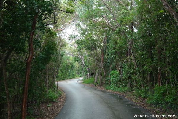 RV Camping at John Pennekamp State Park Key Largo, Florida