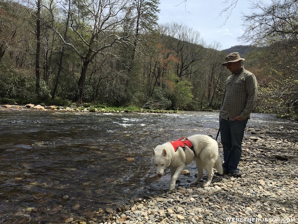 Oconaluftee River Trail