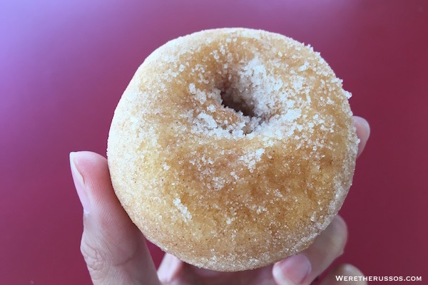 Apple Cider Donut Seaquist Orchard