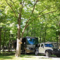 Tranquil Timbers full hookup site TL21