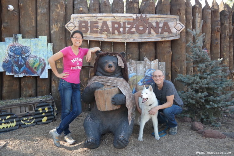 Bearizona Wildlife Park Williams Arizona - Black Bears Up Close - WE'RE ...