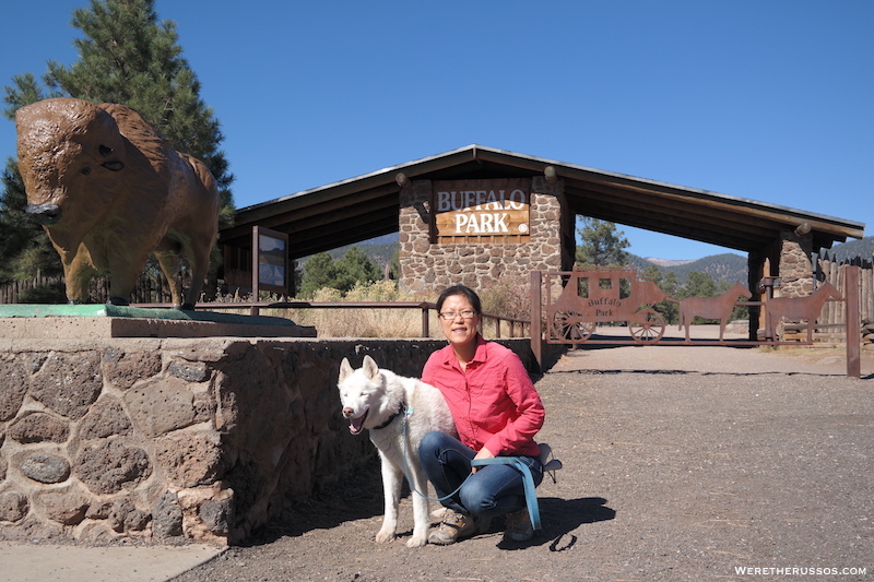 Buffalo Park Flagstaff