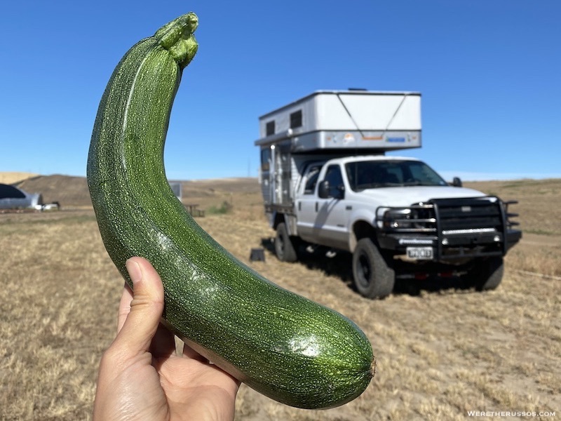 Harvest Hosts Washington Farm