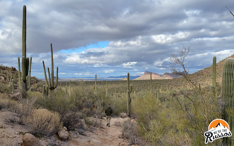 10 Things to Do in Tucson Arizona + RV Living Tips 3