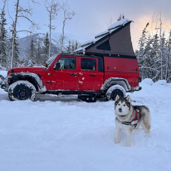 Exploring Alaska Adam Rubin DogandaJeep